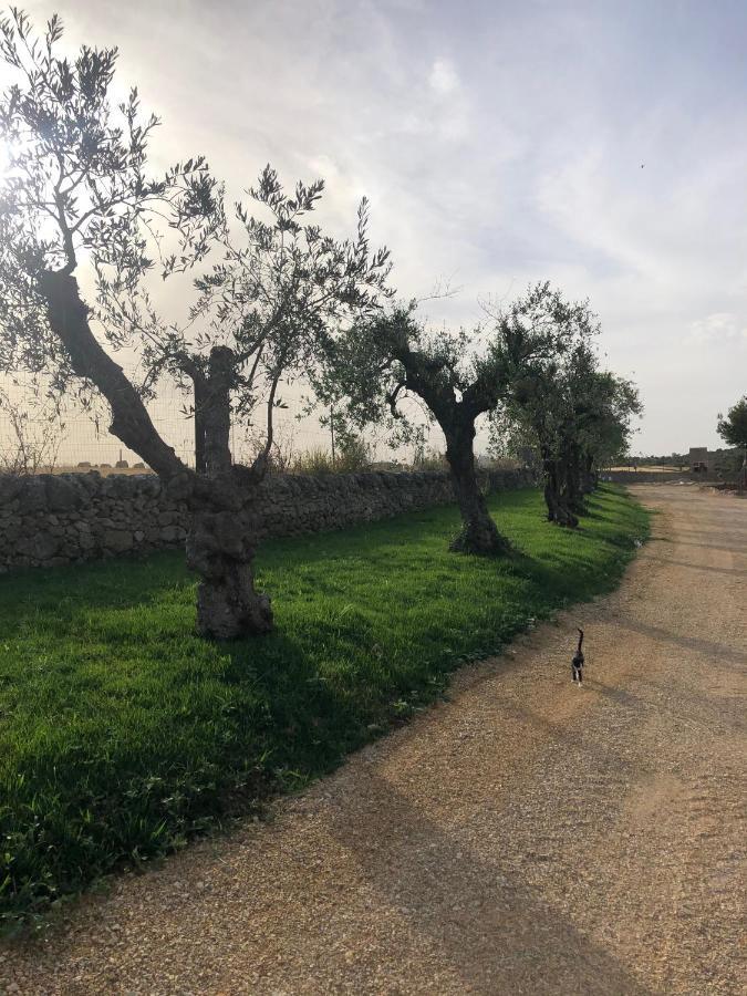 Villino Odaldo موتولا المظهر الخارجي الصورة