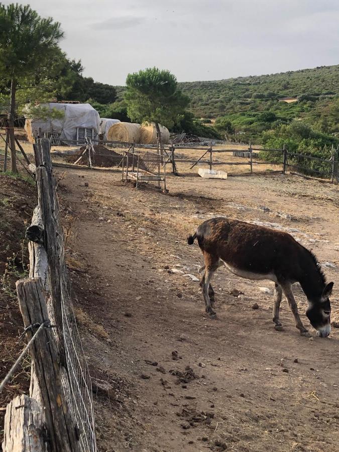 Villino Odaldo موتولا المظهر الخارجي الصورة