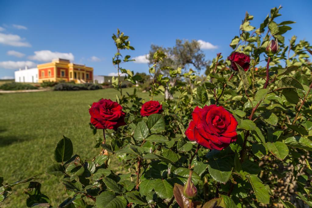 Villino Odaldo موتولا المظهر الخارجي الصورة